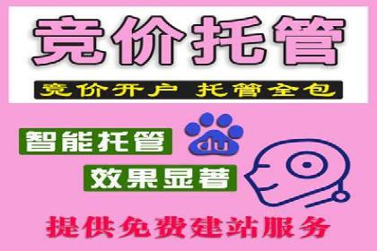 成功案例：SEM托管助力企业提升转化率